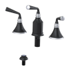 Rubinet Bidet Fitting with Spray, Diverter, and Vacum Breaker (Less Drain) Matt Black