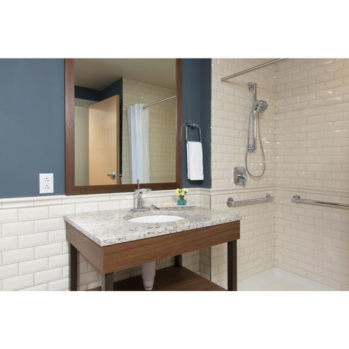Delta ADA Grab Bar Hand Shower