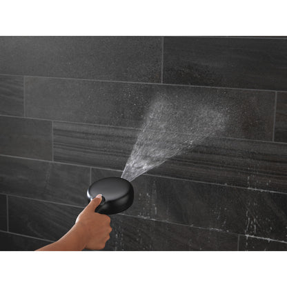 Delta 7-Setting Slide Bar Hand Shower with Cleaning
