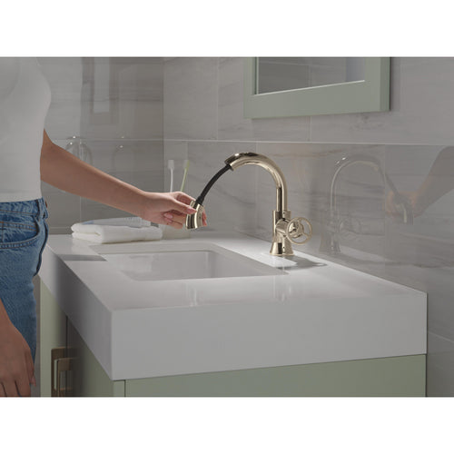 Delta Single Handle Pull Down Bathroom