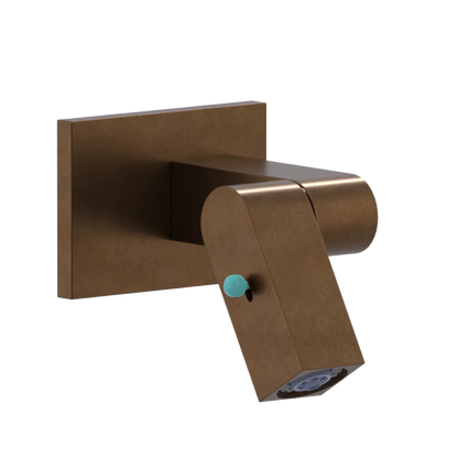 Rubinet Wall Mount Bidet & Foot Rinse with Dual Function Spray Tuscan Brass