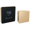 Brizo Square Steam Set