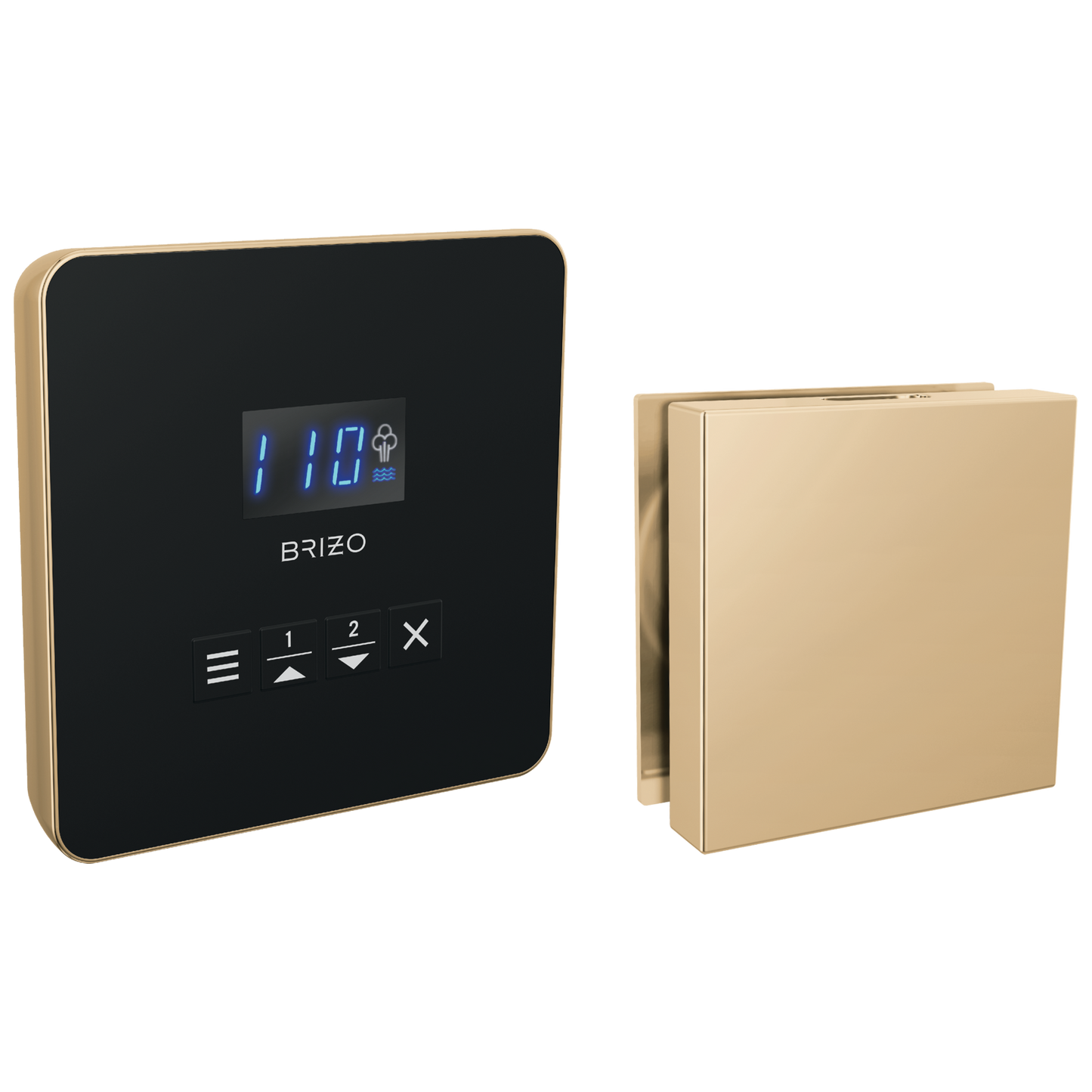 Brizo Square Steam Set