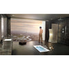Delta Channel Roman Tub With Hand Shower