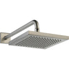 Delta Metal Raincan Shower Head