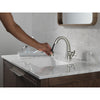Delta Single Handle Pull Down Bathroom