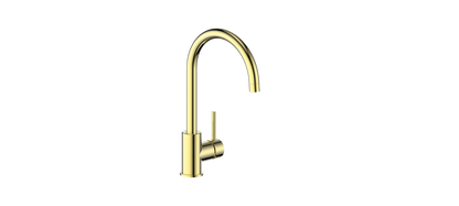 Vogt Klein Single Function Kitchen Faucet CC
