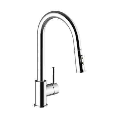 Vogt Traun D Kitchen Faucet CC