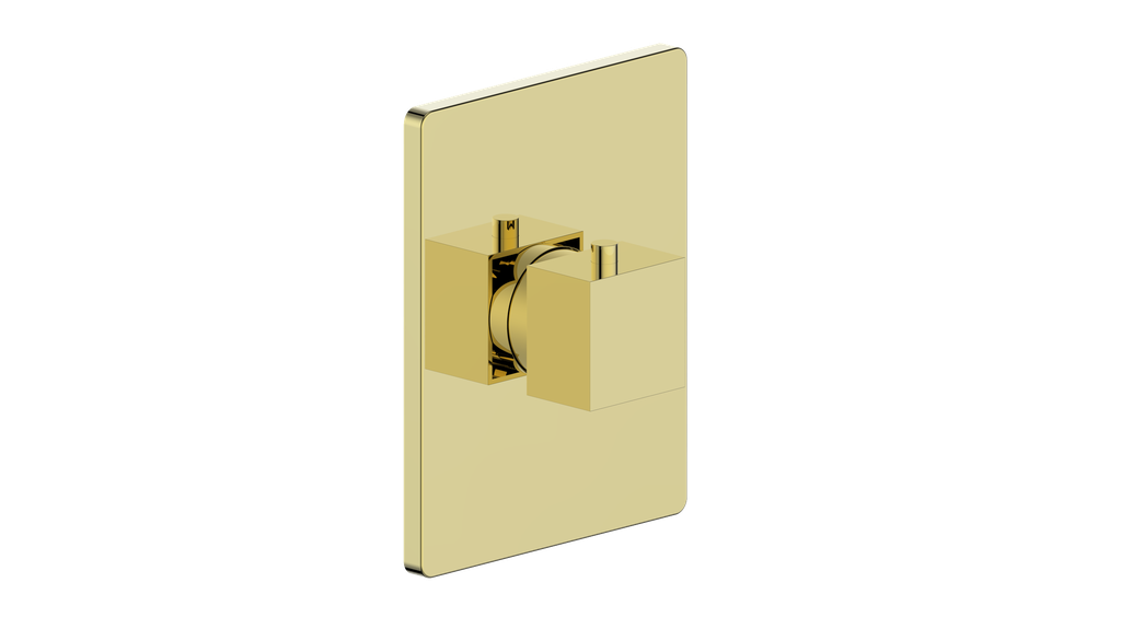 Vogt Kapfenberg Trim for 3/4" TH Valve CC