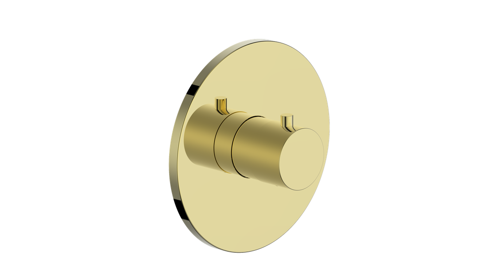 Vogt Worgl Trim for 3/4" TH Valve CC