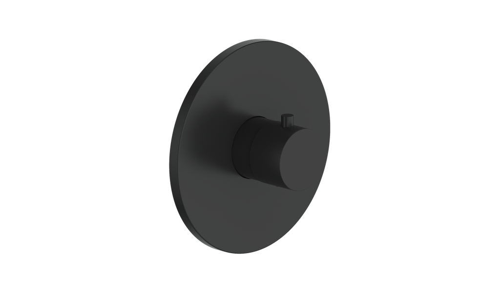 Vogt Worgl Trim for 3/4" TH Valve CC