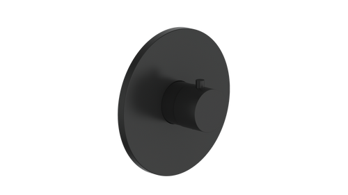 Vogt Worgl Trim for 3/4" TH Valve CC