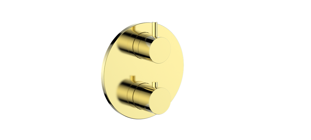 Vogt Worgl Trim for 2-Way TH Valve CC