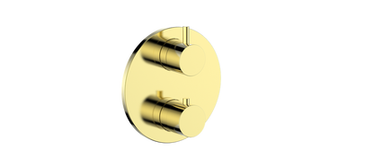 Vogt Worgl Trim for 2-Way TH Valve CC