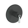 Vogt Zehn Trim for 3/4" TH Valve CC
