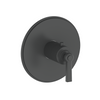 Vogt Zehn Trim for 3/4" TH Valve CC