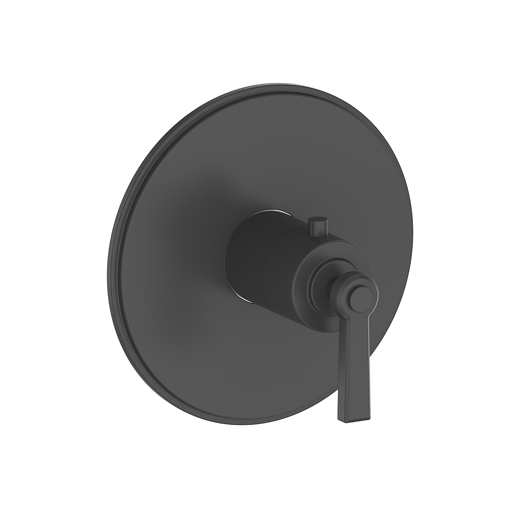 Vogt Zehn Trim for 3/4" TH Valve CC