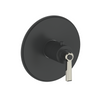 Vogt Zehn Trim for 3/4" TH Valve CC