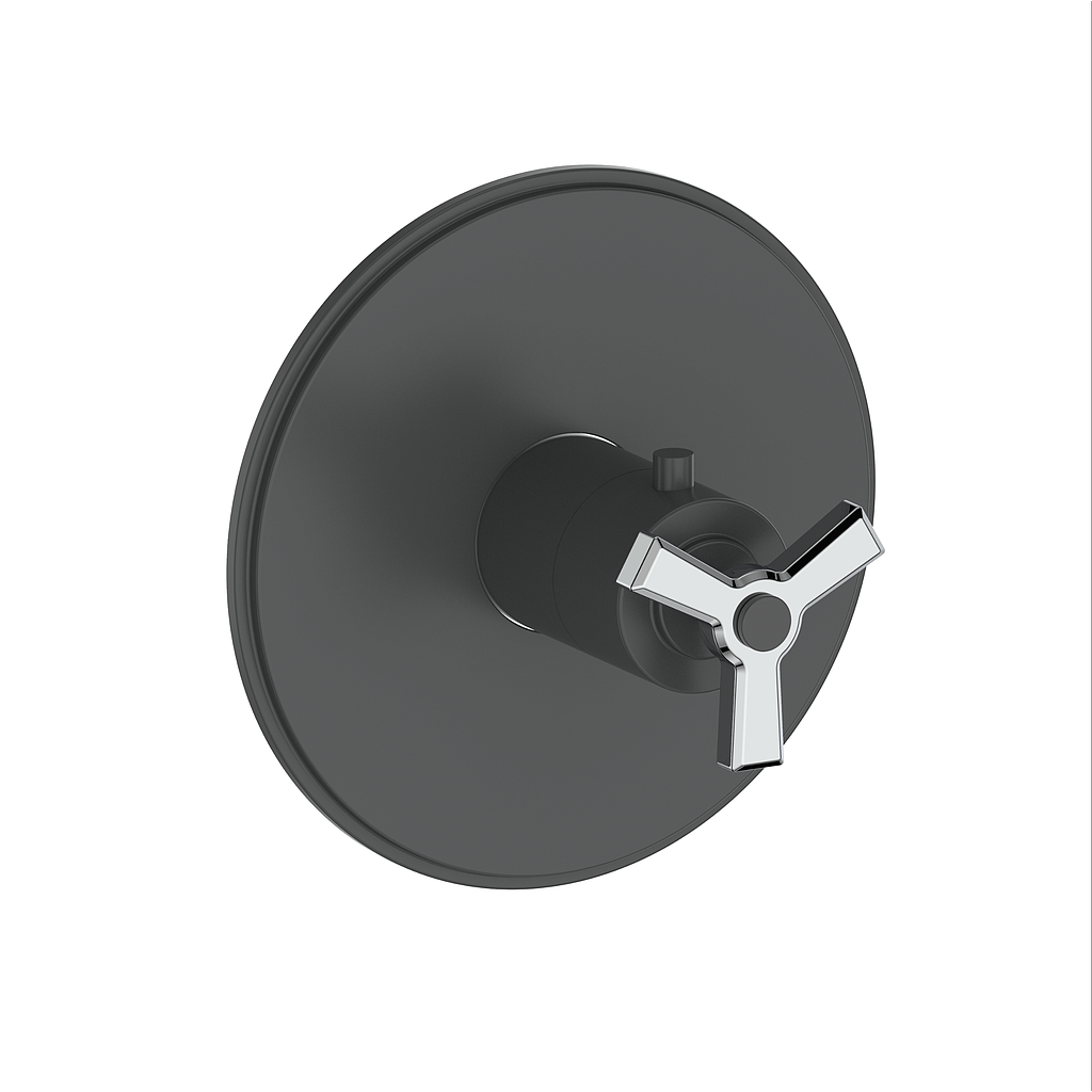 Vogt Zehn Trim for 3/4" TH Valve CC