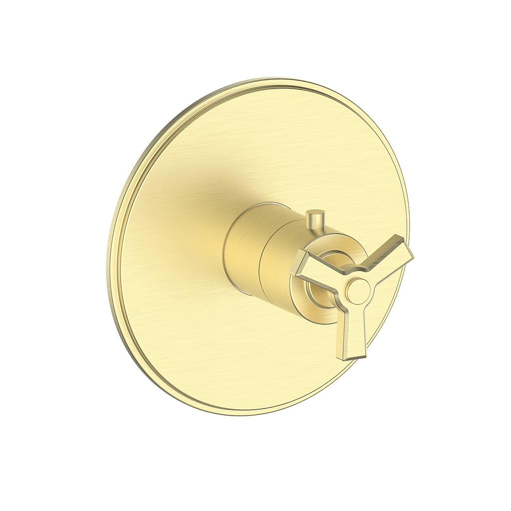 Vogt Zehn Trim for 3/4" TH Valve CC
