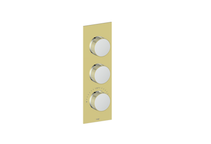 Vogt MOND TRIM FOR 3/4" HIGH-FLOW TH VALVE WITH 2 VOLUME CONTROLS