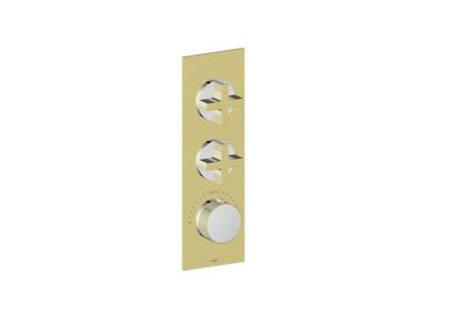 Vogt MOND TRIM FOR 3/4" HIGH-FLOW TH VALVE WITH 2 VOLUME CONTROLS