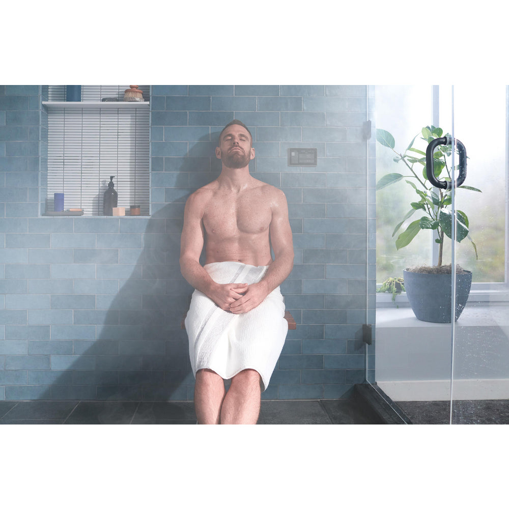 Delta Steamscape Deluxe System Unilateral Digital Steam Package