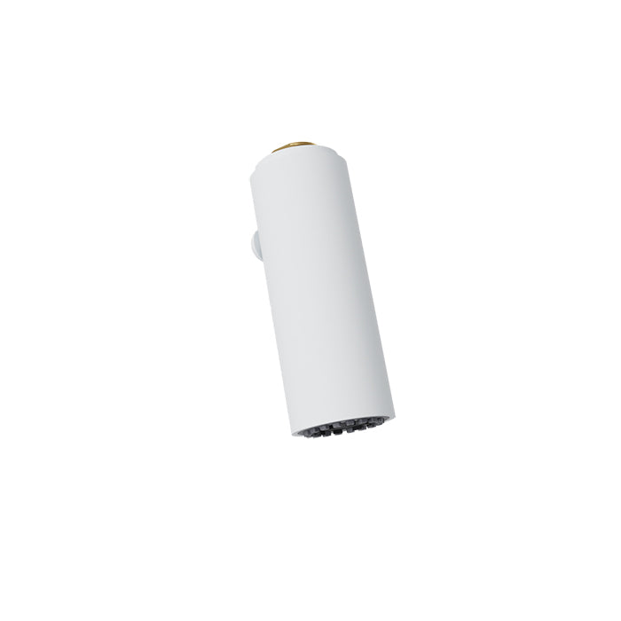 Baril Brass 2-spray hand shower