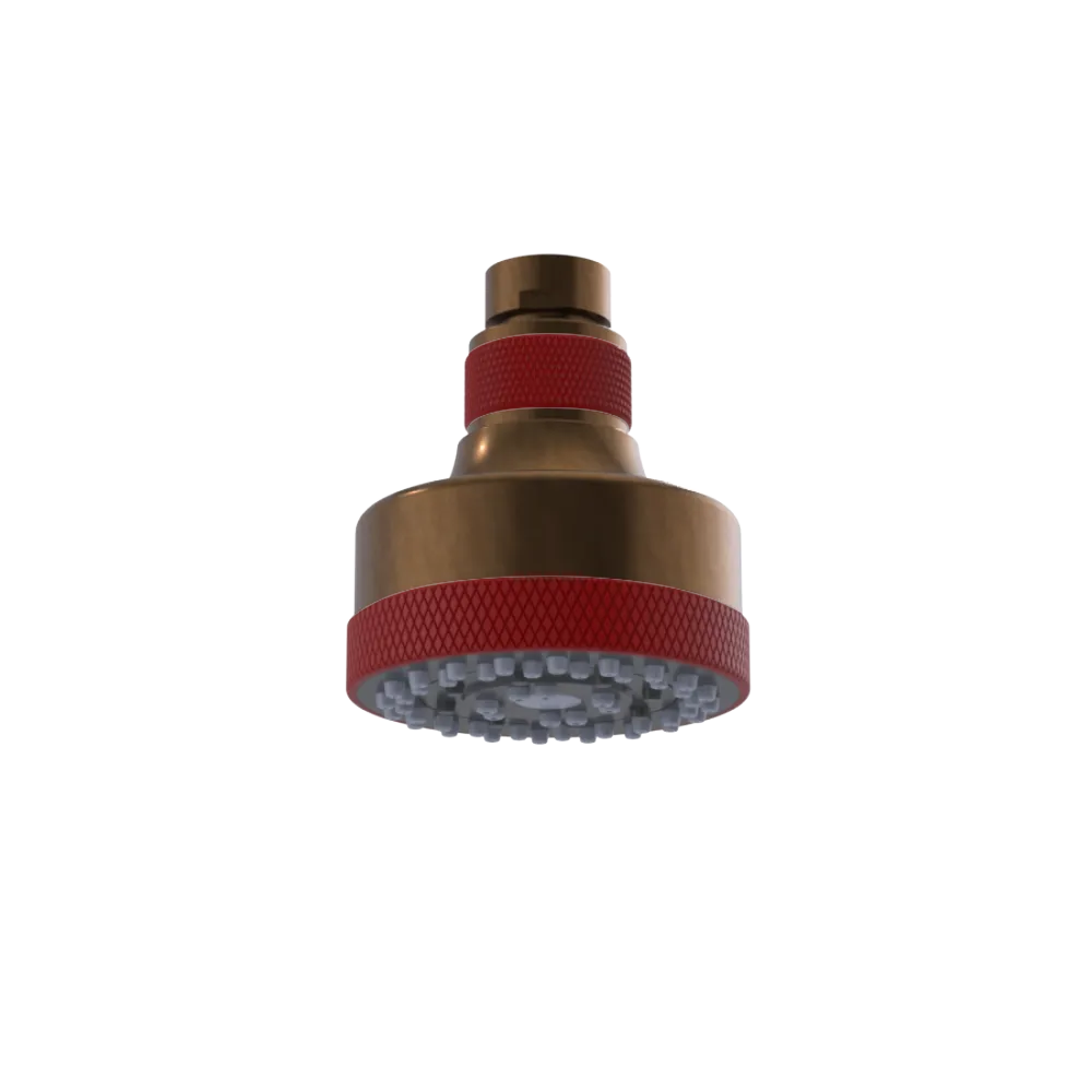 Rubinet 3 FUNCTION SHOWER HEAD Tuscan Brass