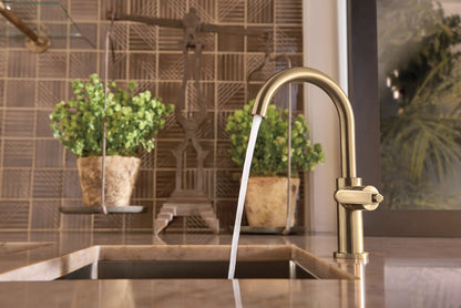 Litze Bar Faucet with Arc Spout and Industrial Handle Kit lifestyle