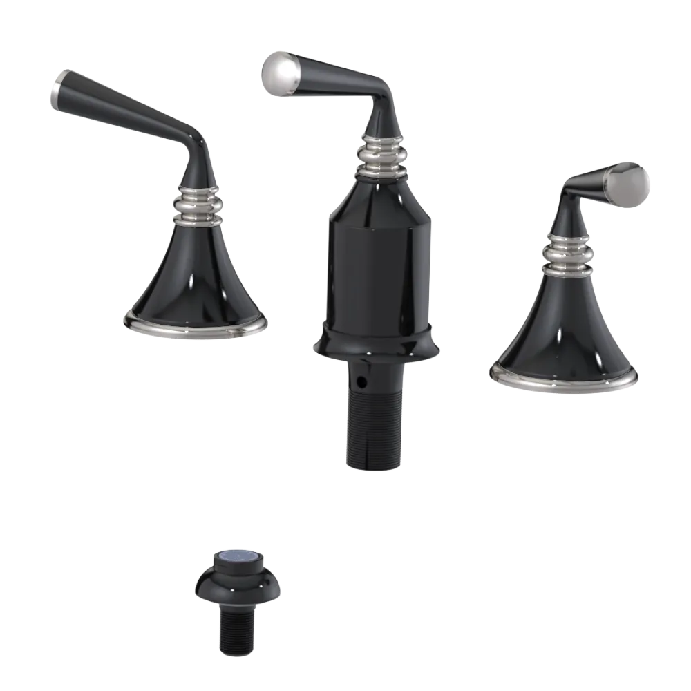 Rubinet Bidet Fitting with Spray, Diverter, and Vacum Breaker (Less Drain) Black