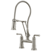 Rook Articulating Bridge Faucet with Finished Hose - Brilliance® Stainless