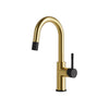 Aqua Brass Umix Bar pull-down Kitchen Faucet