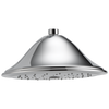 Brizo Round Raincan Showerhead