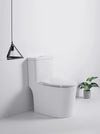 Kodaen T-6636 One Piece Regular Toilet