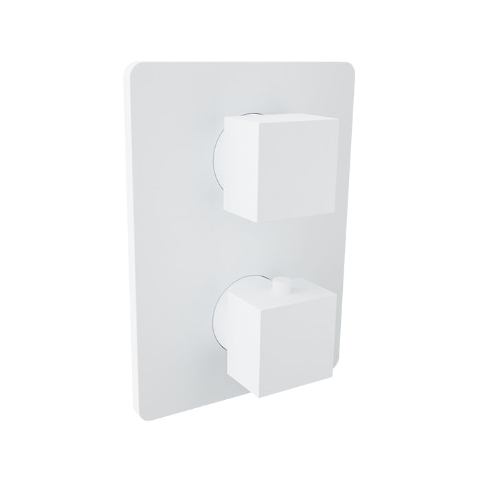 Baril Complete thermostatic pressure balanced shower control valve with 2-way diverter
