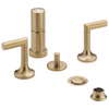 Odin Two-Handle Bidet Faucet - Brilliance® Luxe Gold®