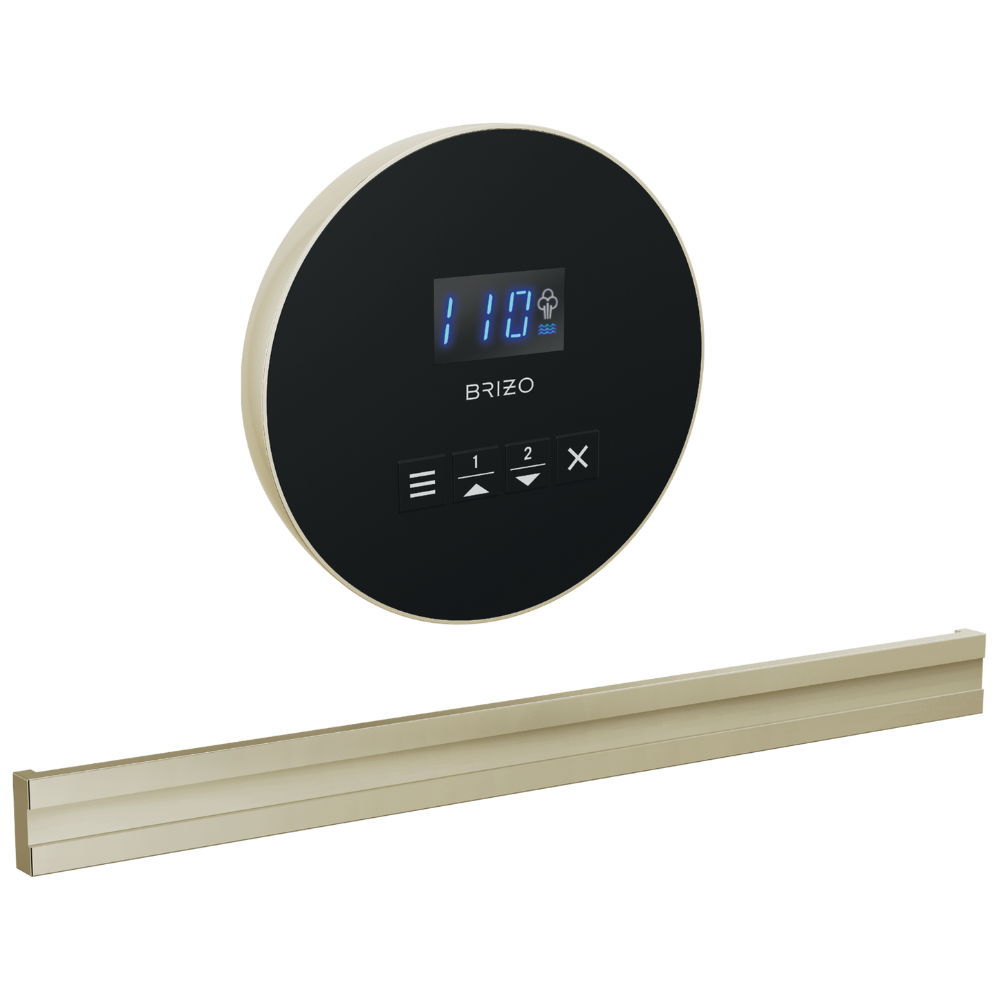 Brizo Round Bilateral Steam Set