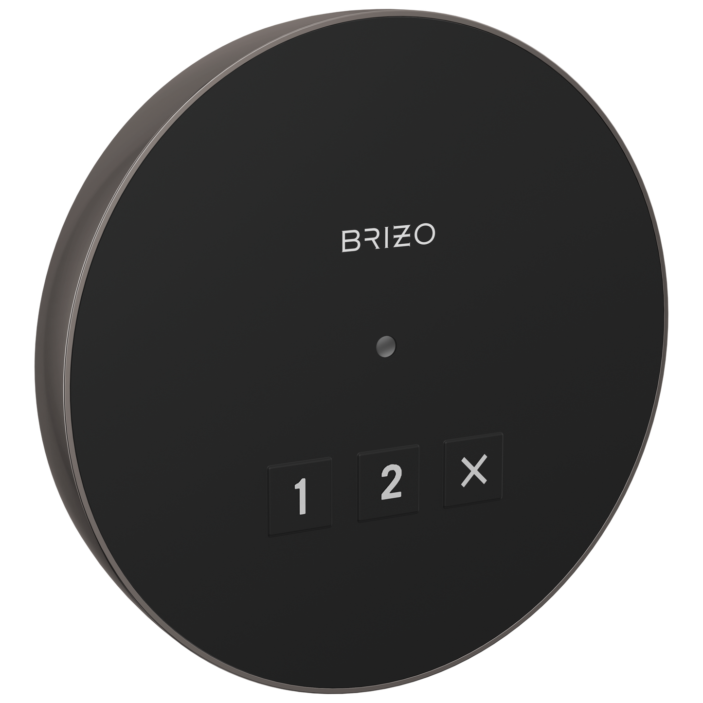 Brizo Round Exterior Control