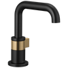 Brizo Single Handle Lavatory Faucet 15 Gpm