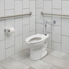 American Standard Ultima Manual Toilet Flush Valve, Diaphragm-Type, 1.1 gpf/4.2 Lpf