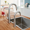 Grohe Zedra Single-Handle Beverage Faucet (Cold Water Only) With Filtration 1.75 Gpm - Golzar Home