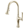 Brizo Pull Down Kitchen Faucet
