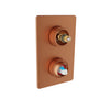 Baril Pressure balanced shower valve with 3-way diverter (without handle)