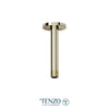 Ceiling shower arm