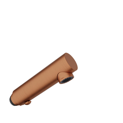 Baril Brass 2-spray hand shower
