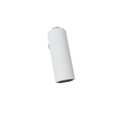 Baril Brass 2-spray hand shower