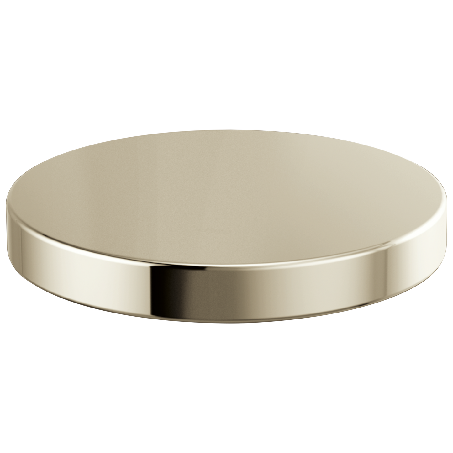 Brizo Hole Cover