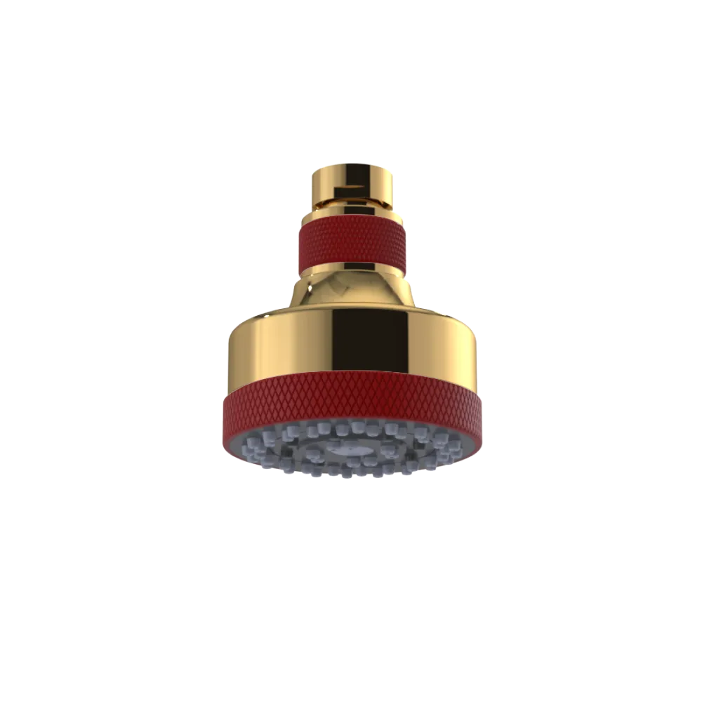 Rubinet 3 FUNCTION SHOWER HEAD Gold