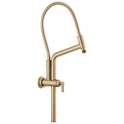 Essential Shower Series 10 7/16" Classic Slide Bar Shower Arm And Flange - Brilliance® Luxe Gold®